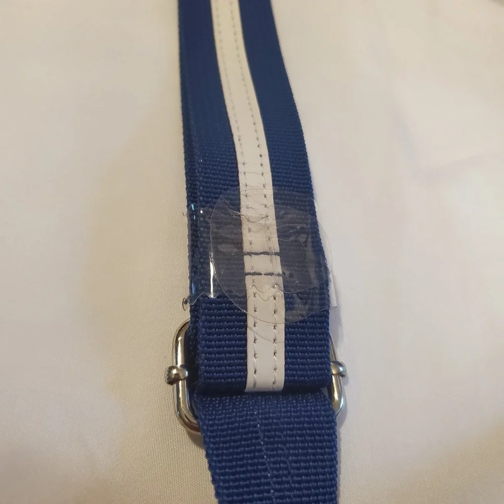 Disney 40th Anniversary Park Exclusive Blue Mickey Messenger Laptop Shoulder Bag